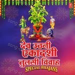 Dev Uthani Ekadashi Tulsi Vivah Special Bhajans - Sher Singh Song Download